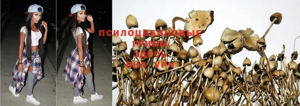 кокаин VHQ Нефтегорск