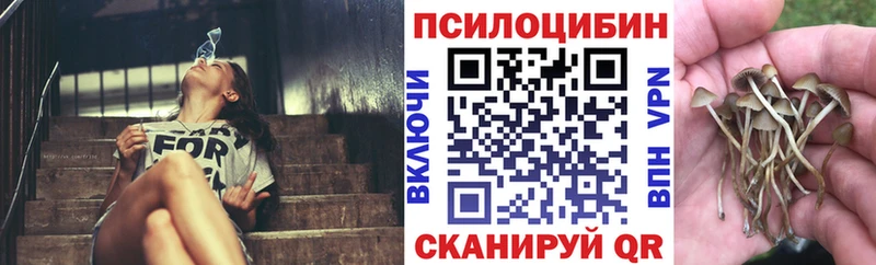 закладка  Опочка  ссылка на мегу зеркало  Псилоцибиновые грибы мицелий 